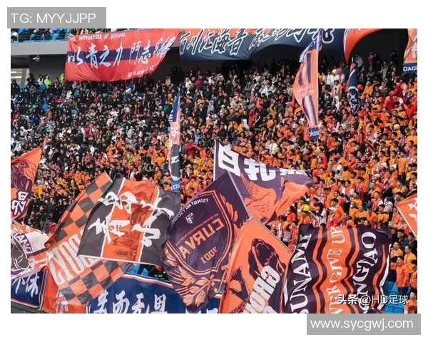 中国足球赛场频现打架事件引发热议球迷与球员的冲突何时才能终止